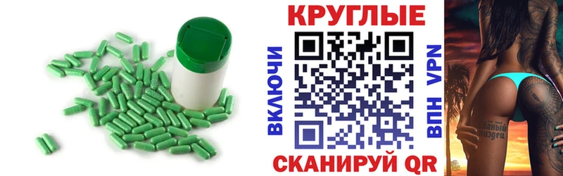 Купить где Мышкин Ecstasy бентли